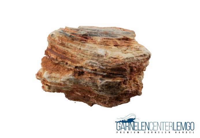 Colorado Rock "CR5"