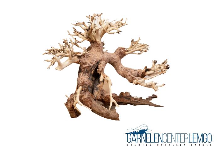 Aqua Bonsai Driftwood - Größe S