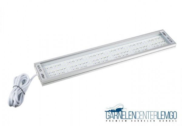 Solid LS 570 LED