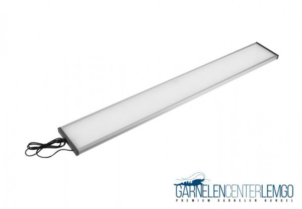 TWINSTAR LIGHT III 900EA