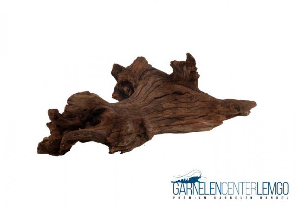 China Driftwood Wurzel "CDW2"