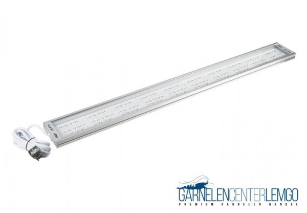 Solid LS 970 LED