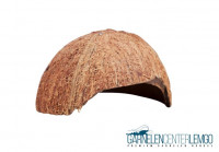 Kokosnuss Schale - Halbschale Kokosnuss Schale - Halbschale