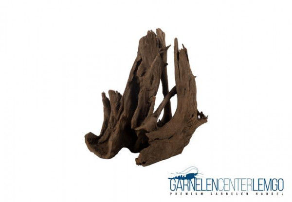 Pinwood Wurzeln / Corbo Root "PW2"