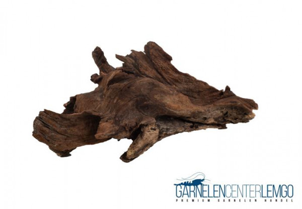 China Driftwood Wurzel "CDW3"