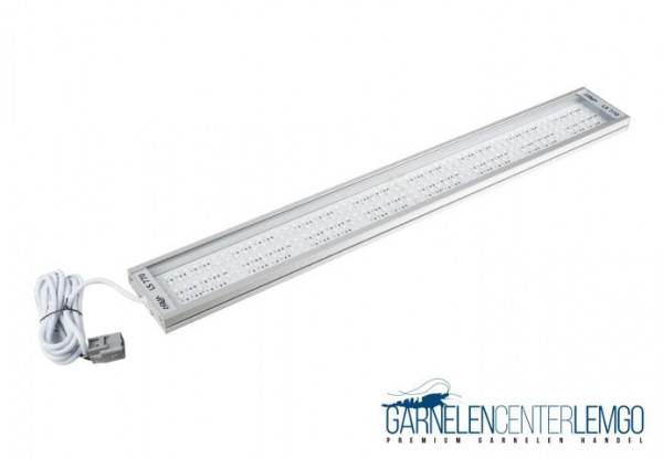 Solid LS 770 LED