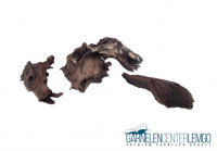 China Driftwood Größe XS China Driftwood Größe XS